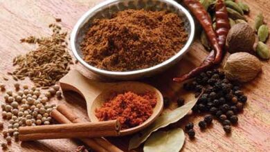 Photo of Popular Masala and Their Curative Properties