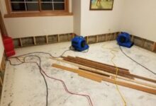 Photo of Water damage home restoration