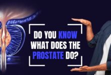 Photo of Do you Know What Does the Prostate Gland Do?