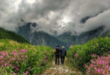 Photo of Valley of Flowers trek