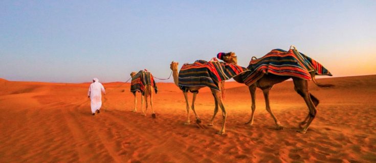 Photo of 7 AmazIng Facts About Desert Safari Dubai