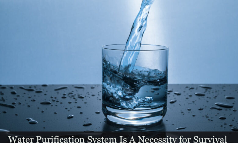 Photo of Water Purification System Is A Necessity for Survival