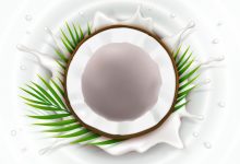 Photo of Is Coconut Oil Beneficial For Your Skin?