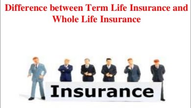 Photo of Which is better for you: term life insurance or whole life insurance?
