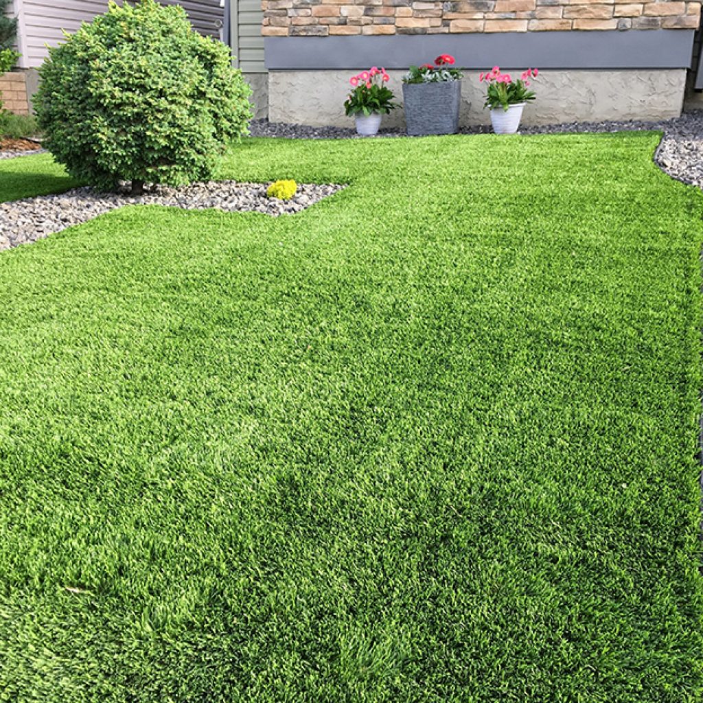 Where To Get Cheap Fake Grass