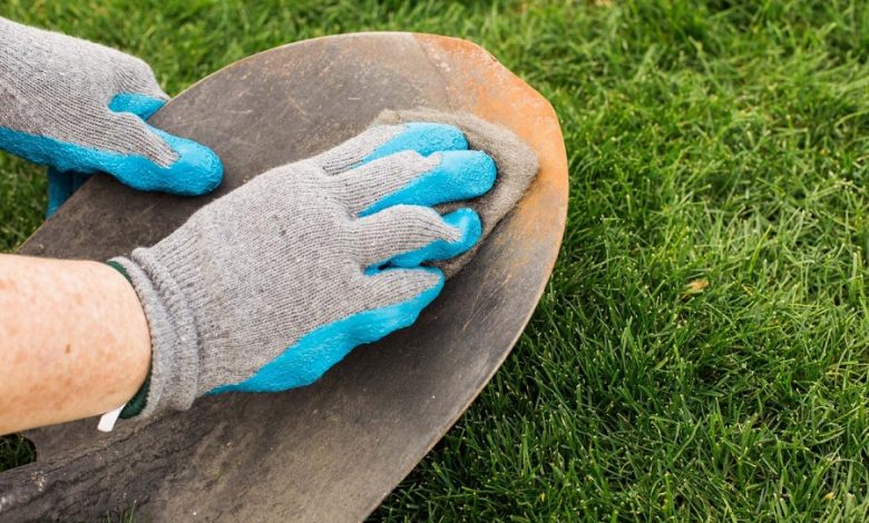 How To Clean Garden In Winter