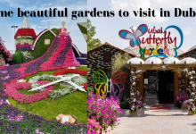 Photo of Some beautiful gardens to visit in Dubai