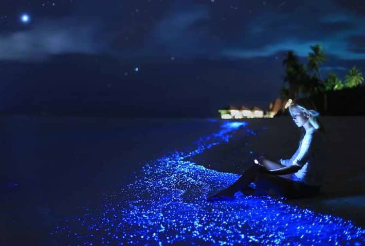 star watching in maldives