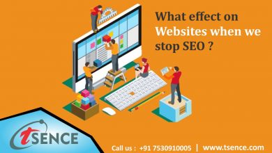 Photo of What effect on Websites when we stop SEO ?