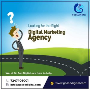 Digital Marketing Agency in Bilaspur - Go SEO Digital