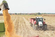 Photo of Agricultural Commodities in India – Available the List of It