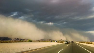 Photo of 6 Sandstorm Driving Safety Tips You Must Follow
