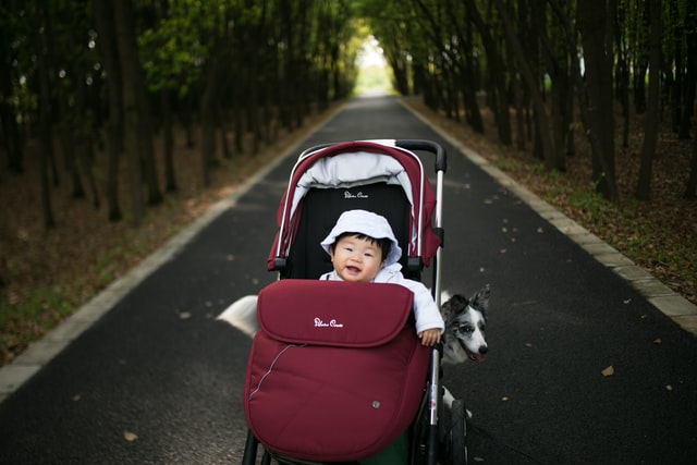 Double stroller