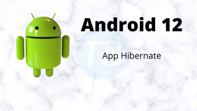 Photo of What Is App Hibernation On Android? How It Works?