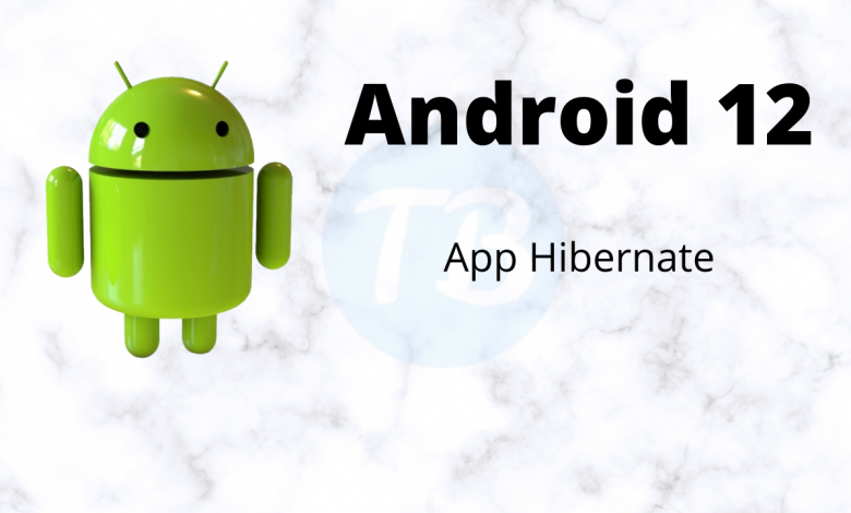 Photo of What Is App Hibernation On Android? How It Works?