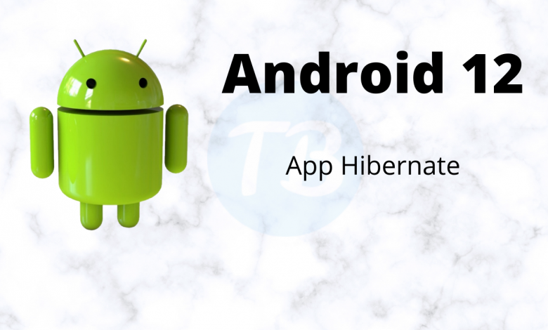 What Does Hibernate Apps Mean?