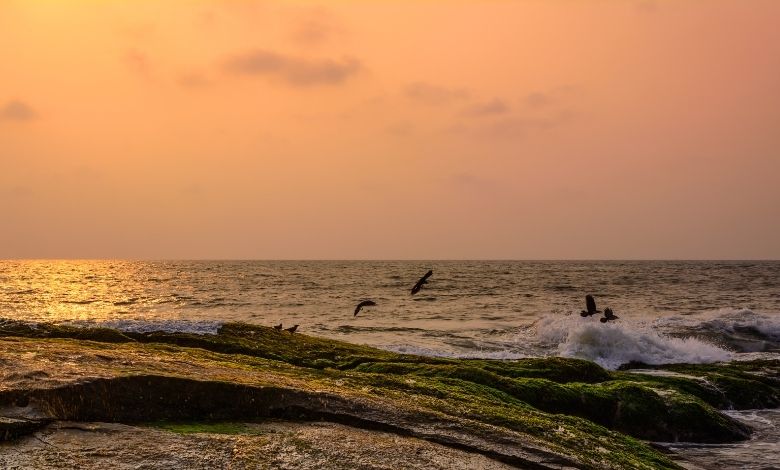 Places to Visit in Mangalore