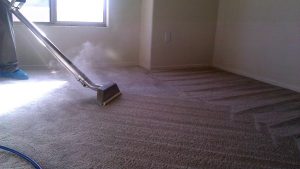 carpet steam cleaning