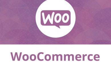 Photo of How CDN invigorates your WooCommerce performance?