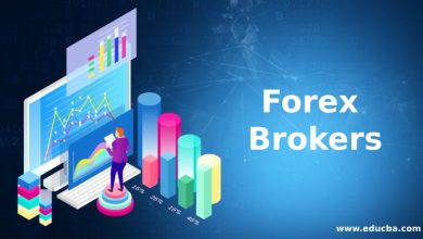 Photo of Best Forex Brokers 2021 – Trading Platform Reviews