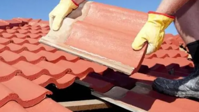Photo of Facts That Everybody Should Know About Roof Restoration Services