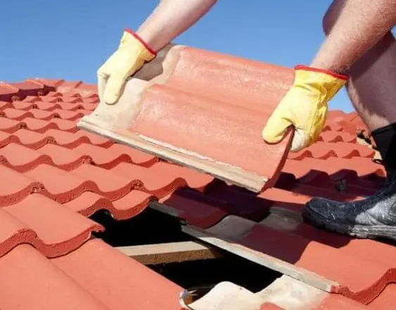 Photo of Facts That Everybody Should Know About Roof Restoration Services