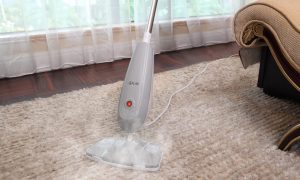 carpet steam cleaning