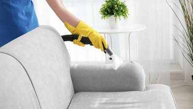 Photo of Upholstery Cleaning in Clinton- All You Need To Know About Upholstery Cleaning
