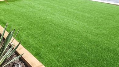 Photo of 5 Easy Ideas To Take Care Of Fake Grass Toowoomba