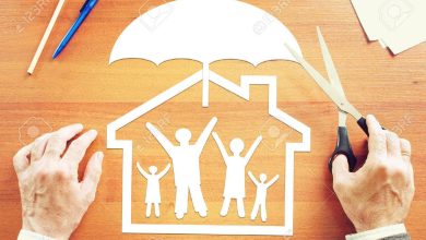 Photo of Life and Property Insurance Business Analysts