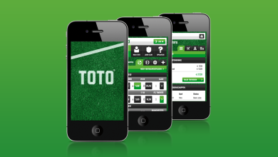 Photo of Toto Casino Review