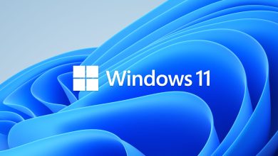 Photo of Step by Step Instructions to Completely Shared Files in Windows 11