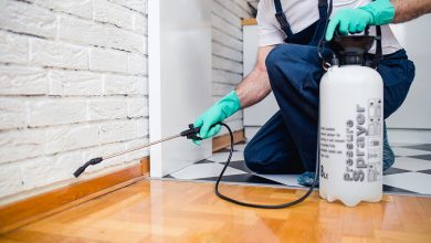 Photo of How Much Should I Pay For Affordable Pest Control?