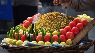 Photo of 10 Best Popular Street Foods In Udaipur