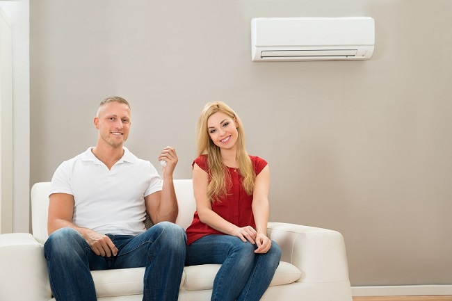 Photo of Everything You Need To Know About Hydronic Heaters