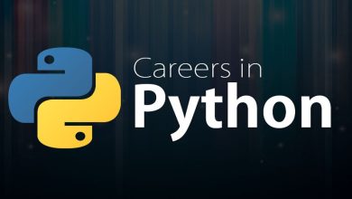 Photo of Begin Career As A Python Technician: A Kick Start To Your Occupation