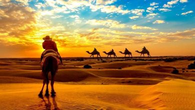 Photo of What Do You Need To Know About The Jaisalmer Tour Packages