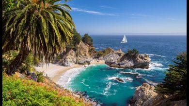 Photo of What You can see in the Metropolitan areas of California