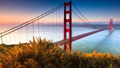 Photo of 5 Attractive Tourist Attractions to Explore in San Francisco