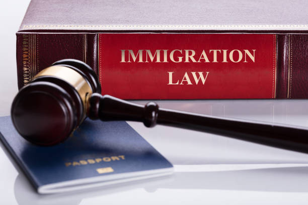 best Immigration Consultancy Services