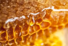 Photo of Remedies for improving your life using only wild pure organic honey