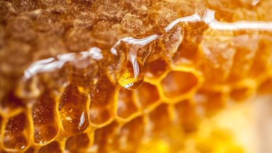 Photo of Remedies for improving your life using only wild pure organic honey