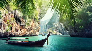 Photo of Thanksgiving Day 2021-Celebrate The Time Of Togetherness By Planning A Getaway