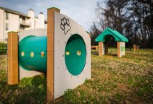 Photo of Pet-Friendly Dog Park Equipment To Complement Any Environment