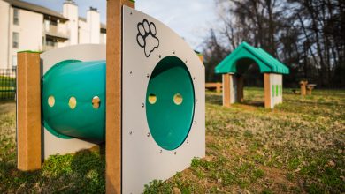 Photo of Pet-Friendly Dog Park Equipment To Complement Any Environment
