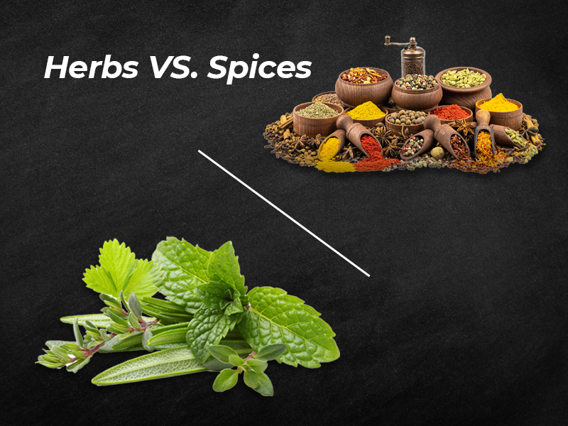 Herbs VS Spices - Jet Posting