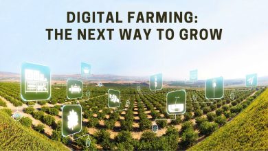 Photo of Indian Farming Growth Depends on Digital Premonitory