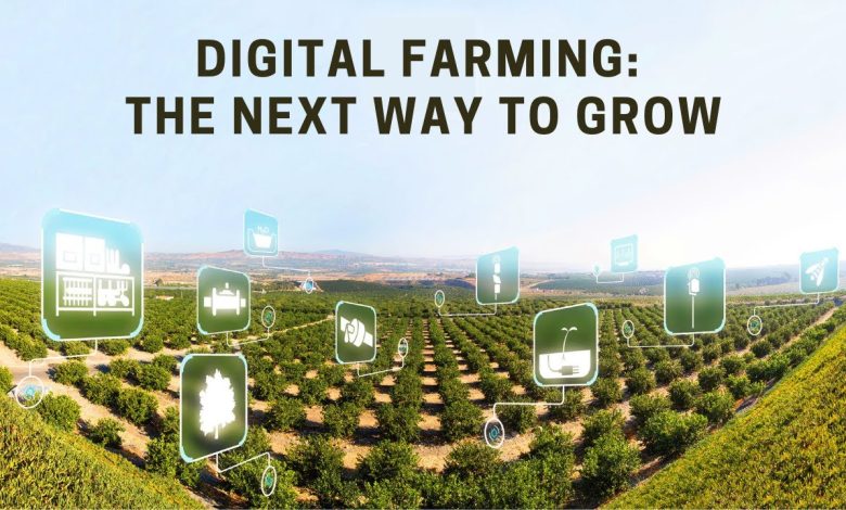 Photo of Indian Farming Growth Depends on Digital Premonitory