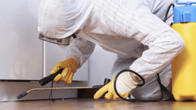 Photo of Bird Nest Removal Affects