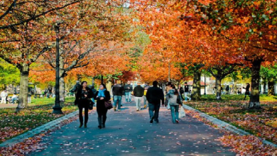Photo of Plan a Long-weekend trip in 2022 Using These Handy Tips: